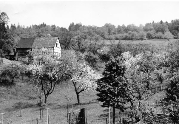 Im Oberen Hof 5 um 1960