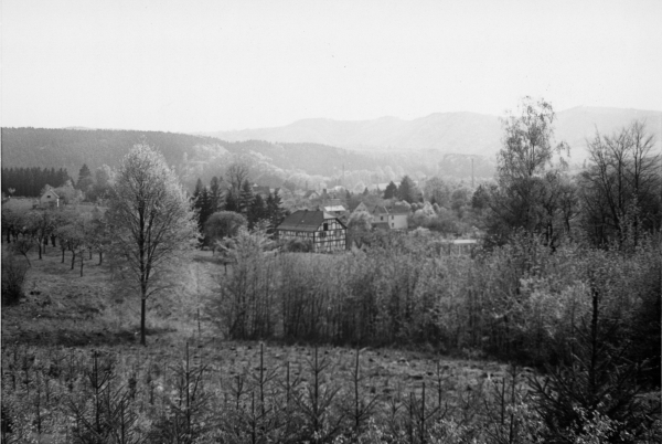 Waldstück In den Hähnen, Blick auf Schladern, ca. 1965